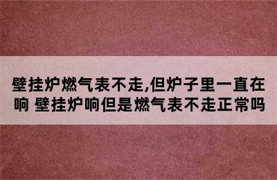 壁挂炉燃气表不走,但炉子里一直在响 壁挂炉响但是燃气表不走正常吗